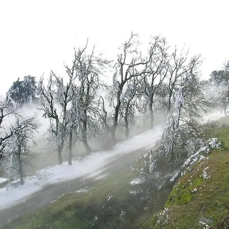 Bed & Breakfast Solar Sampaio E Melo Trancoso