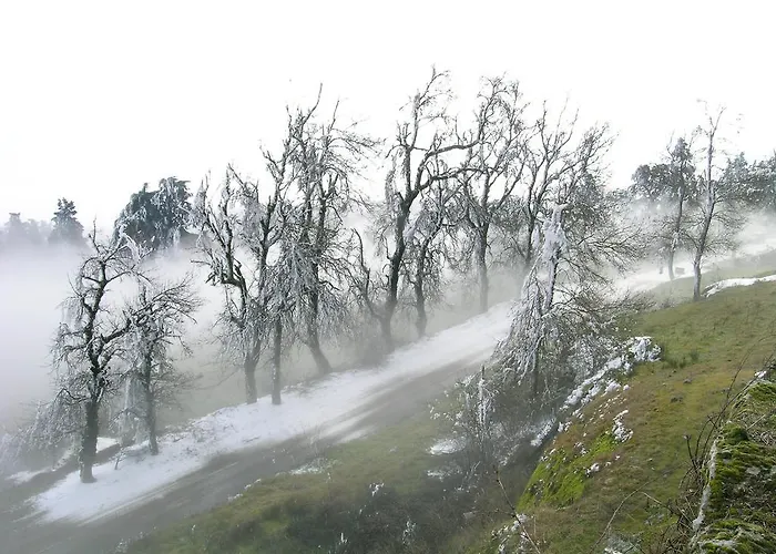 فندق مبيت وإفطار Solar Sampaio E Melo ترانكوسو